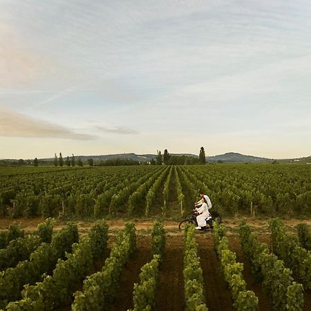 Como Le Montrachet Puligny-Montrachet Exteriér fotografie