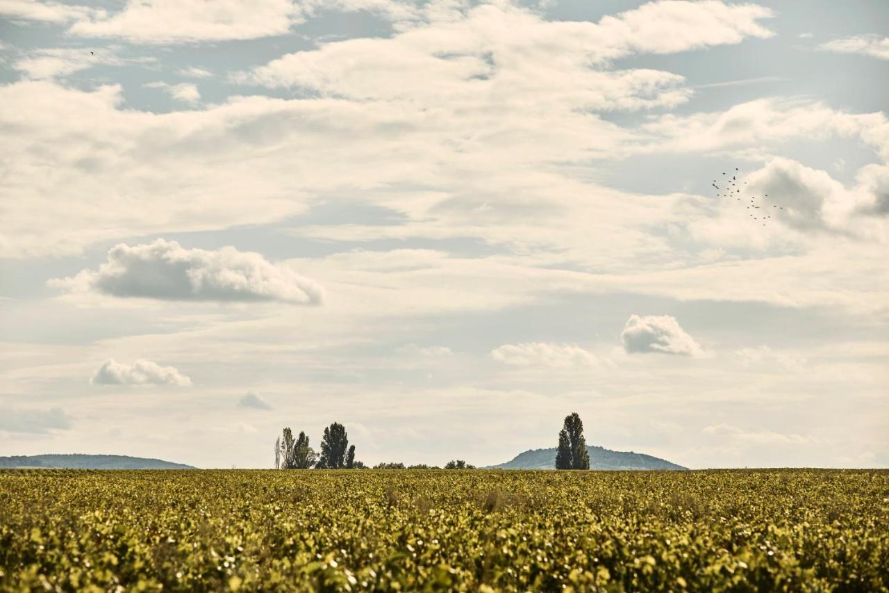 Como Le Montrachet Puligny-Montrachet Exteriér fotografie