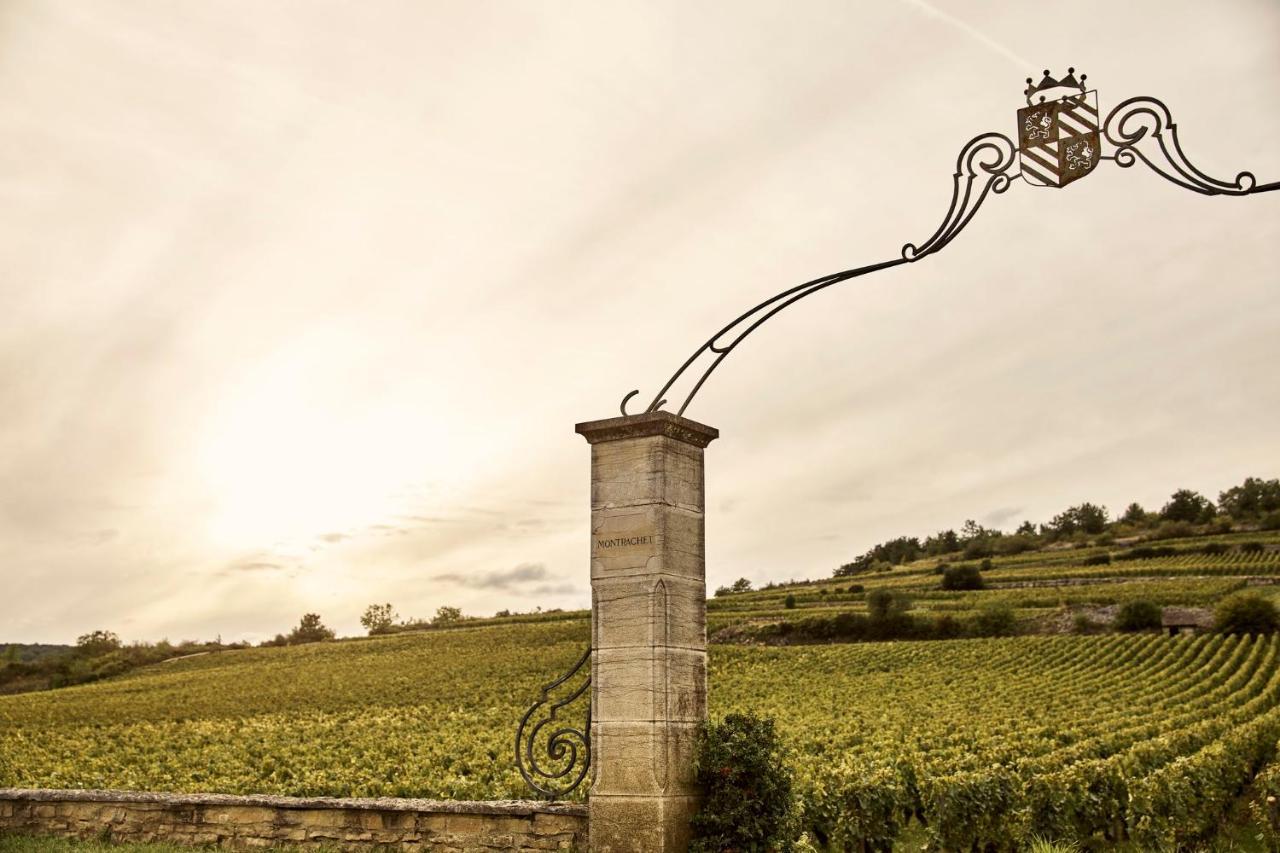 Como Le Montrachet Puligny-Montrachet Exteriér fotografie