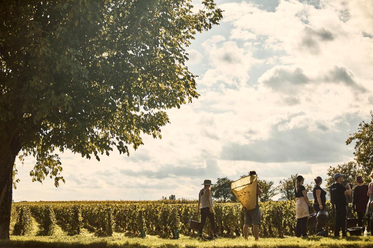 Como Le Montrachet Puligny-Montrachet Exteriér fotografie