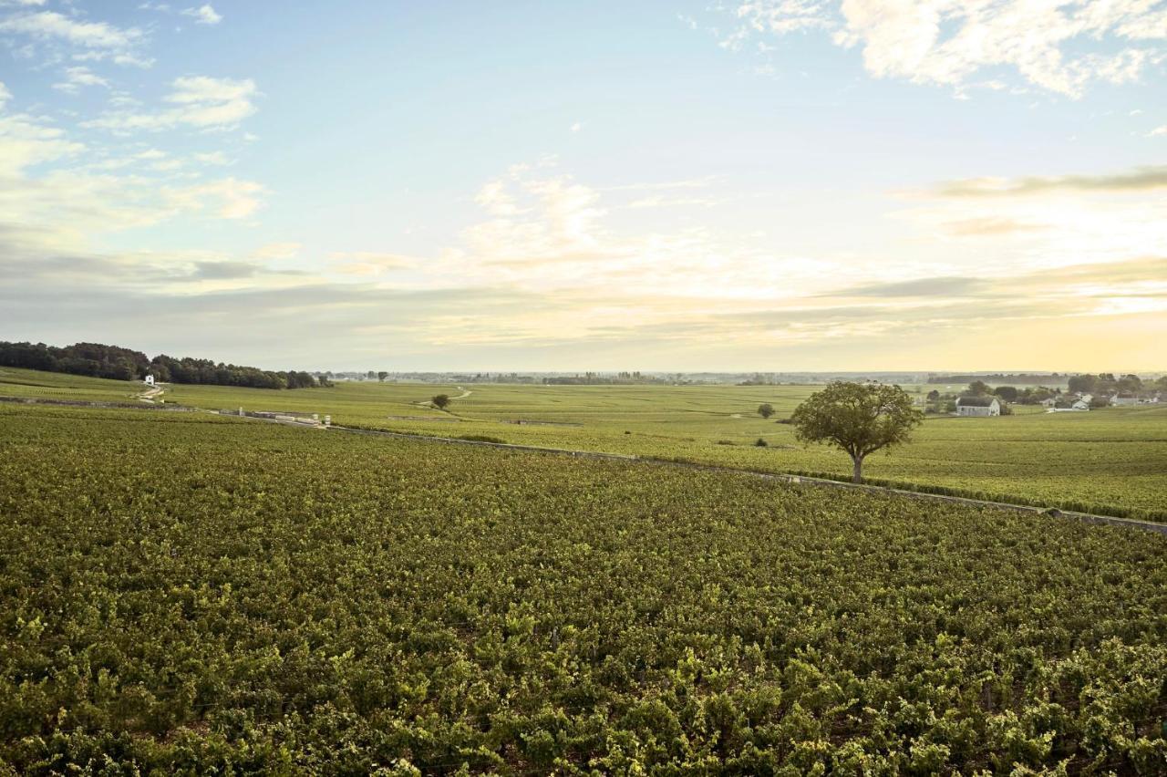 Como Le Montrachet Puligny-Montrachet Exteriér fotografie