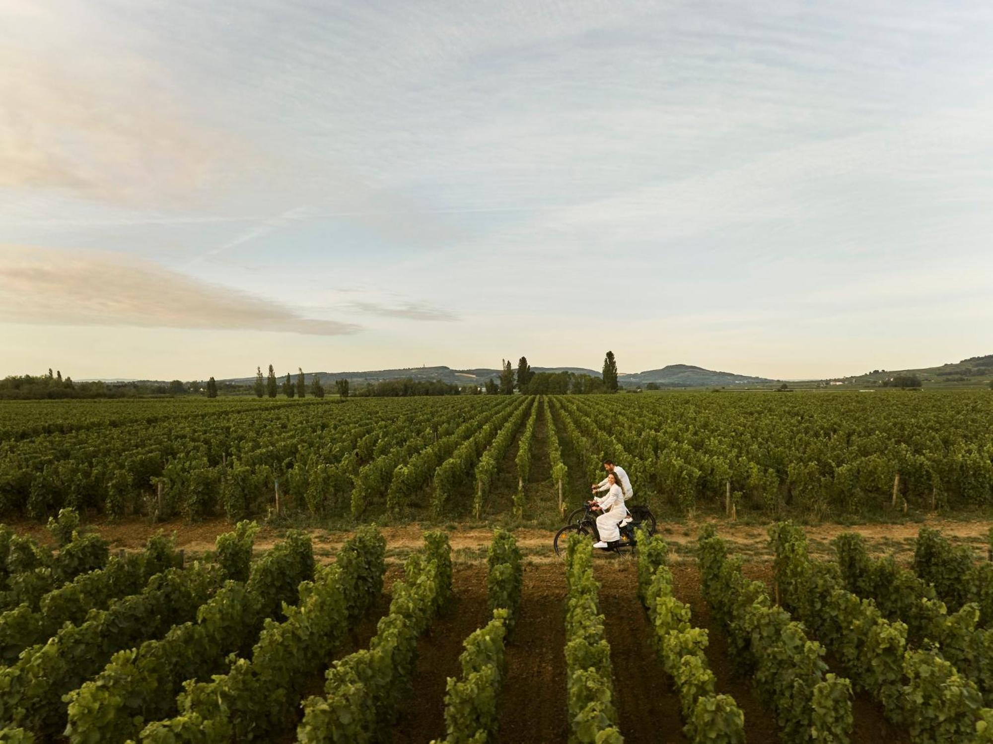 Como Le Montrachet Puligny-Montrachet Exteriér fotografie
