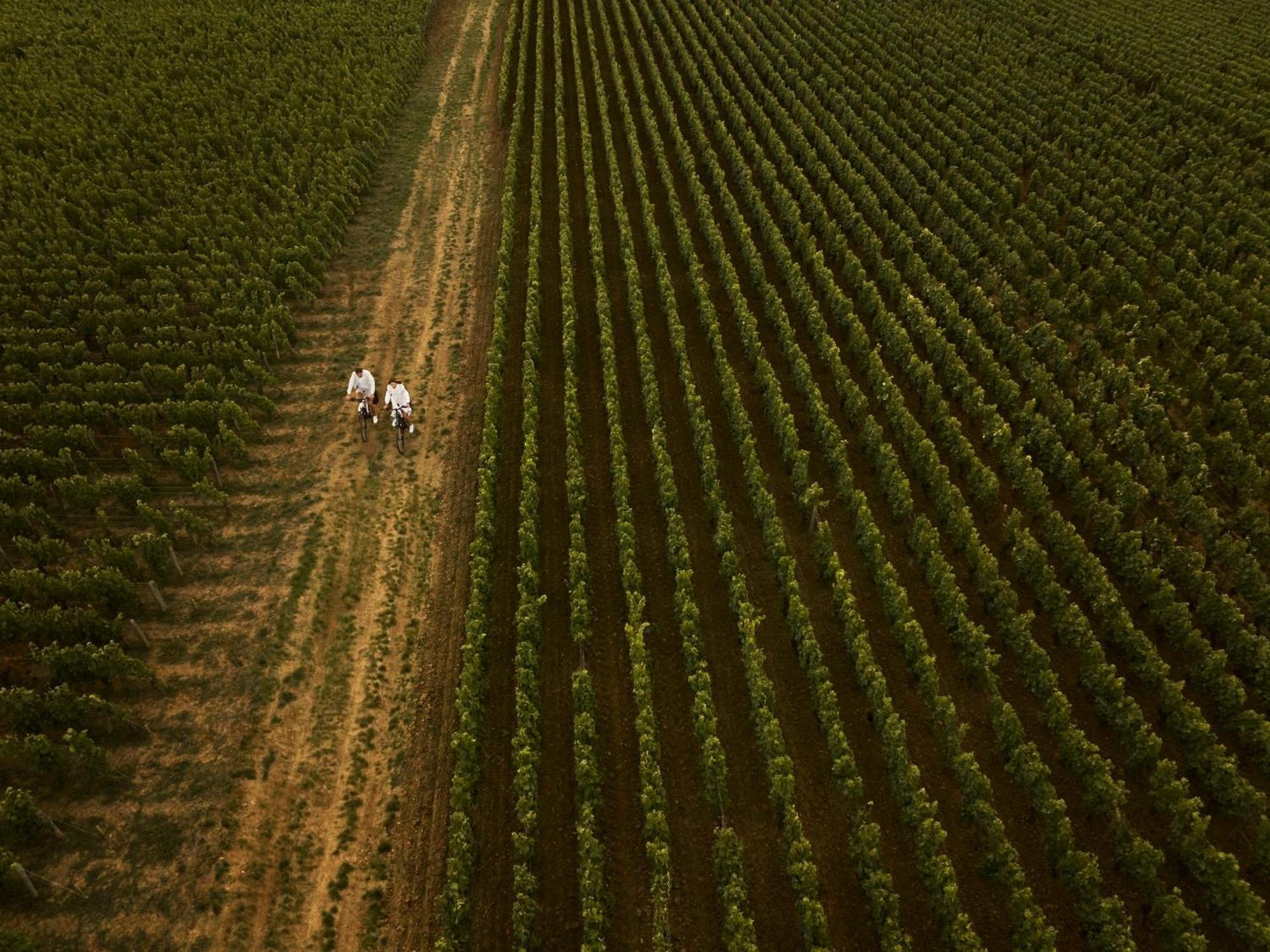 Como Le Montrachet Puligny-Montrachet Exteriér fotografie